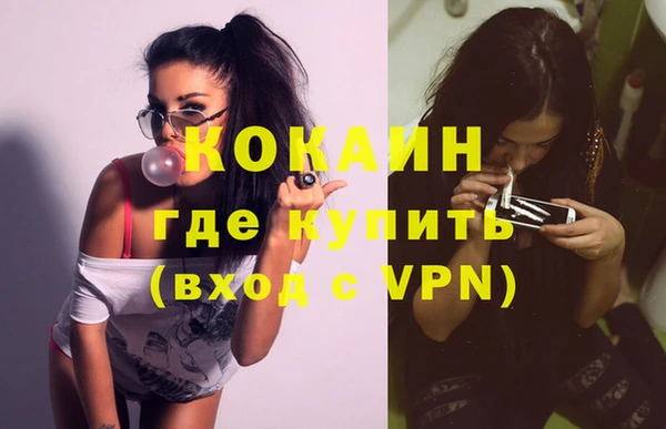 дживик Горняк
