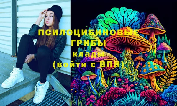 прущие крисы Горно-Алтайск